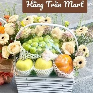 GIÒ HOA QUẢ BIẾU TẶNG 07