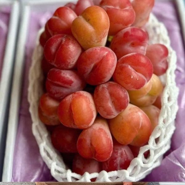 GIỎ HOA QUẢ BIẾU TẶNG 08 - Hình ảnh 2