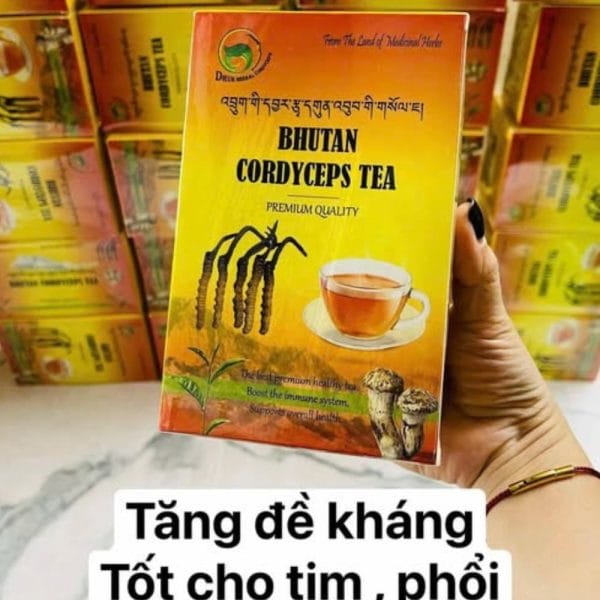 TRÀ ĐÔNG TRÙNG HẠ THẢO BUTAN