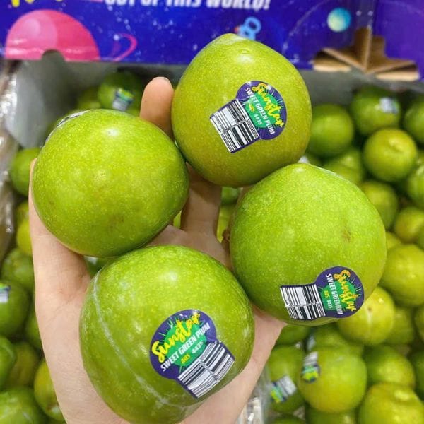 MẬN XANH ÚC (KG) - Hình ảnh 3