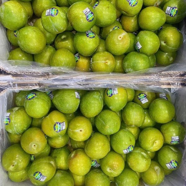 MẬN XANH ÚC (KG) - Hình ảnh 4