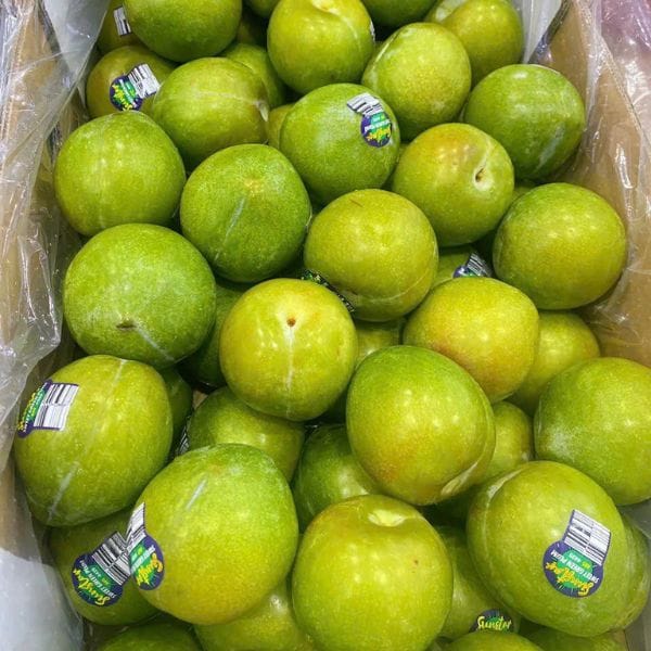 MẬN XANH ÚC (KG) - Hình ảnh 5