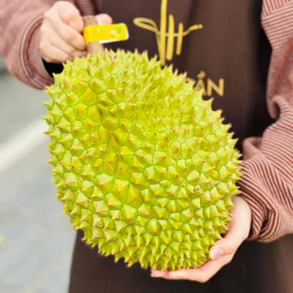 SẦU RIÊNG RI6 HỮU CƠ SẠCH NGUYÊN QUẢ (KG)