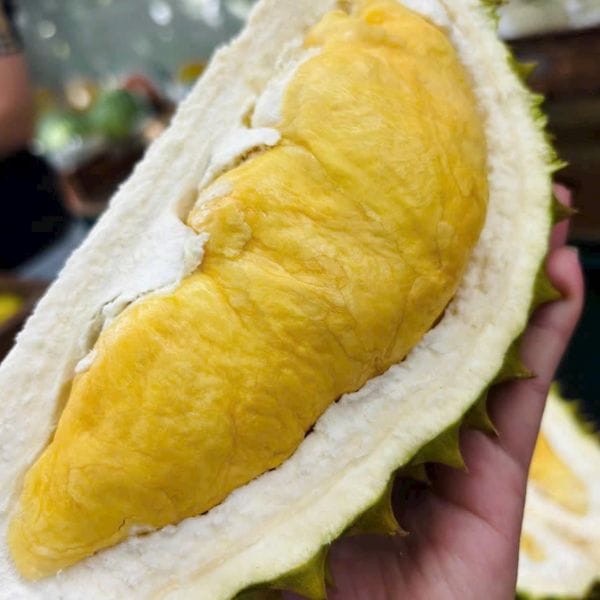 SẦU RIÊNG RI6 HỮU CƠ SẠCH NGUYÊN QUẢ (KG) - Hình ảnh 3