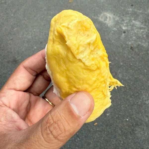 SẦU RIÊNG RI6 HỮU CƠ SẠCH NGUYÊN QUẢ (KG) - Hình ảnh 4