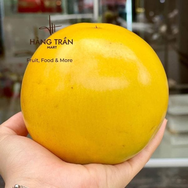 VÚ SỮA HOÀNG KỊM - Hình ảnh 2