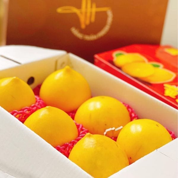 VÚ SỮA HOÀNG KỊM - Hình ảnh 3