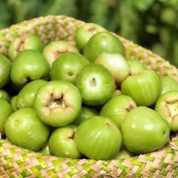 ROI XANH ĐƯỜNG SÓC TRĂNG - Hình ảnh 3