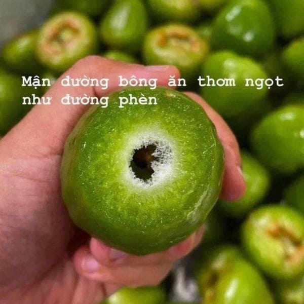 ROI XANH ĐƯỜNG SÓC TRĂNG