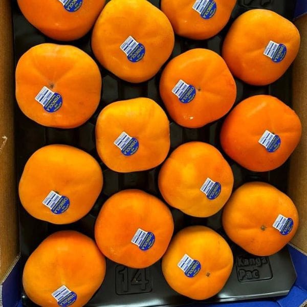 HỒNG GIÒN ÚC - Hình ảnh 3