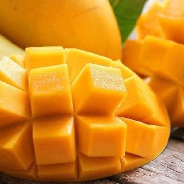 XOÀI CÁT HÒA LỘC HỮU CƠ - Hình ảnh 7