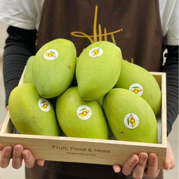 XOÀI CÁT HÒA LỘC HỮU CƠ - Hình ảnh 5