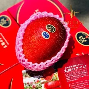 XOÀI MIYAZAKY NHẬT BẢN