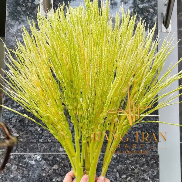 HOA CAU TƯƠI - Hình ảnh 5