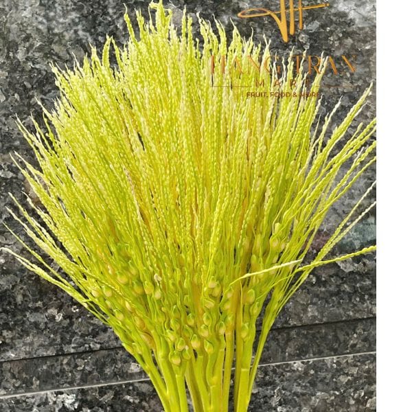 HOA CAU TƯƠI - Hình ảnh 4