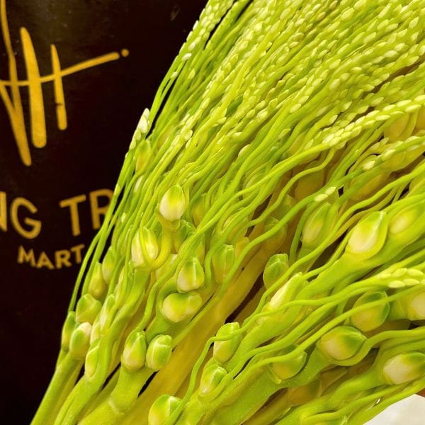 HOA CAU TƯƠI - Hình ảnh 3