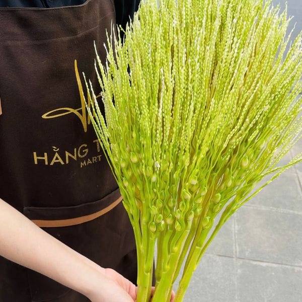 HOA CAU TƯƠI - Hình ảnh 2