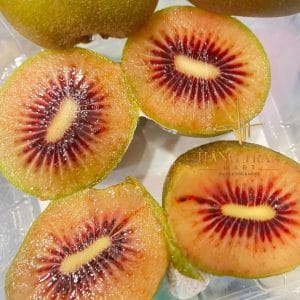 KIWI RUỘT ĐỎ NHẬT BẢN