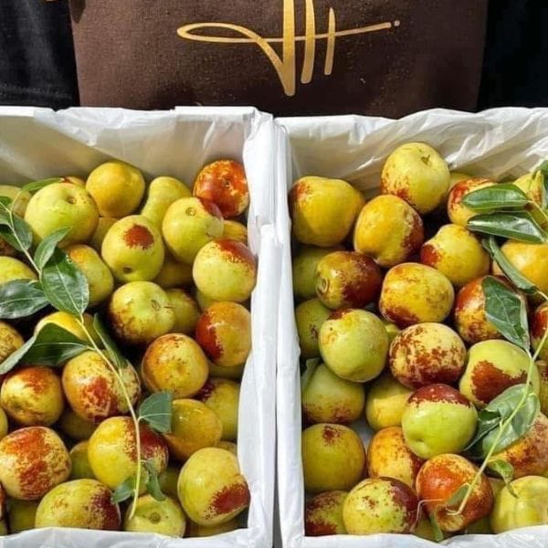 Hồng Táo Tươi Tây An ( hộp 1kg-1,3kg ) - Hình ảnh 3