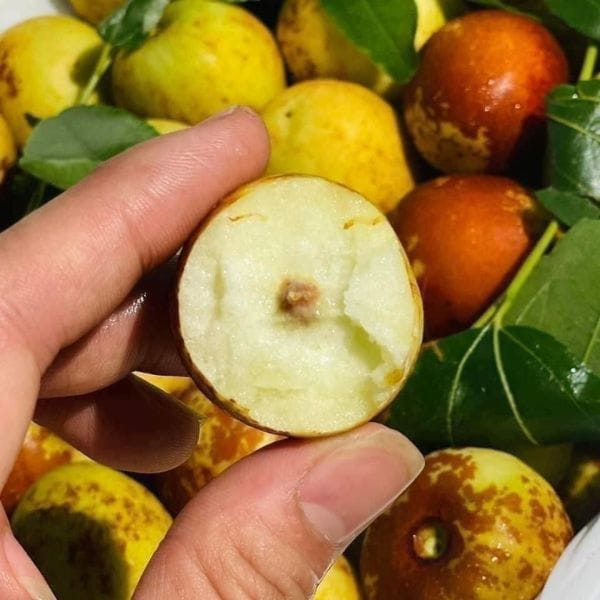 Hồng Táo Tươi Tây An ( hộp 1kg-1,3kg ) - Hình ảnh 4