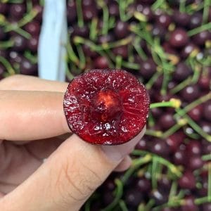 Cherry Chuối Vip Size 8.5 (KG)