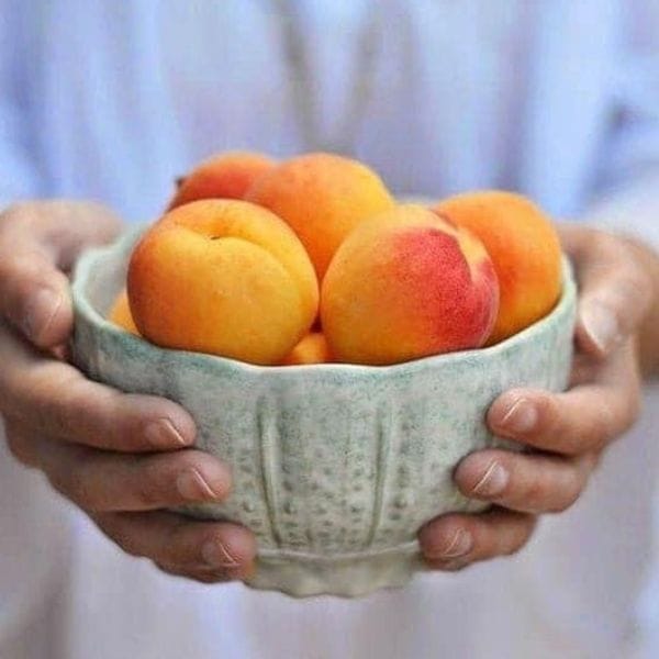 Mơ Turkey ( Hộp 350gr) - Hình ảnh 3